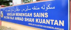 semsas77.jpg